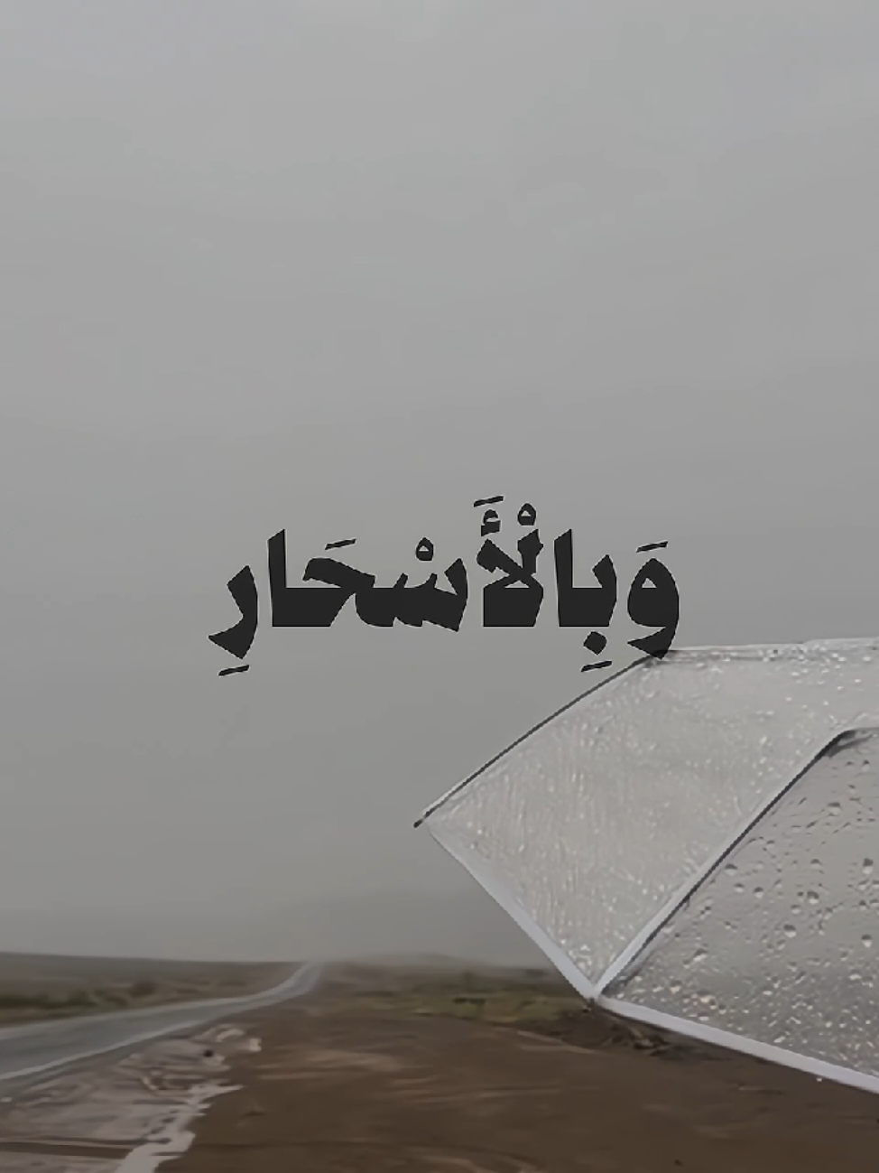 ﴿ كَانُوا قَلِيلًا مِّنَ اللَّيْلِ مَا يَهْجَعُونَ وَبِالْأَسْحَارِ هُمْ يَسْتَغْفِرُونَ ﴾ ‌ { سورة الذاريات - ناصر القطامي}  ‌#قران #quran #ناصر_القطامي #قران_كريم 