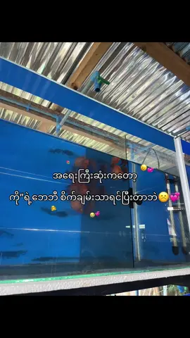 ဘေဘီစိက်ချမ်းသာရင်ပြီးတာဘဲ😖💞#feel #fpy #မောင်း 