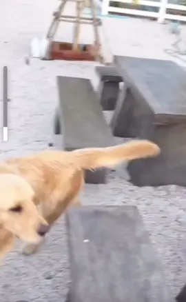 #fcภูเก็ต🌴❤️🐳🐬 #นุ๊กธนดล 