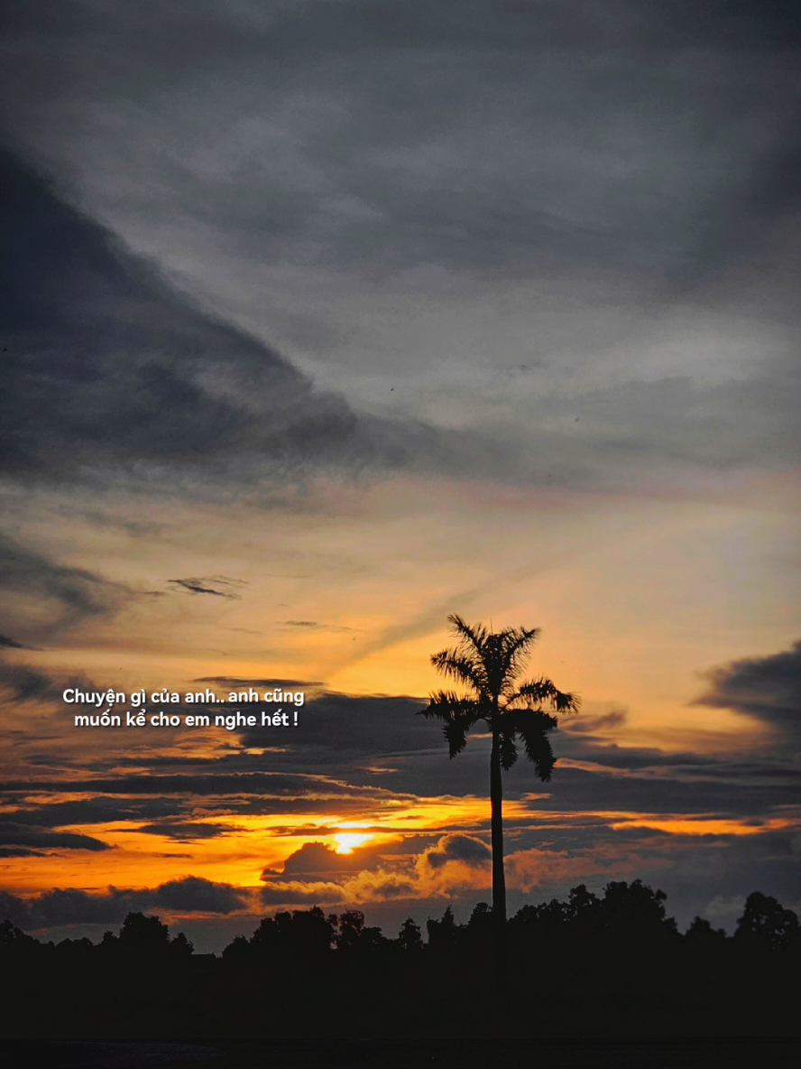 Chuyện gì của anh thì anh cũng muốn kể em nghe hết  #tramcamxuc💔 #tamtrang  #nhạcchillcảnhđẹp #xhhh 
