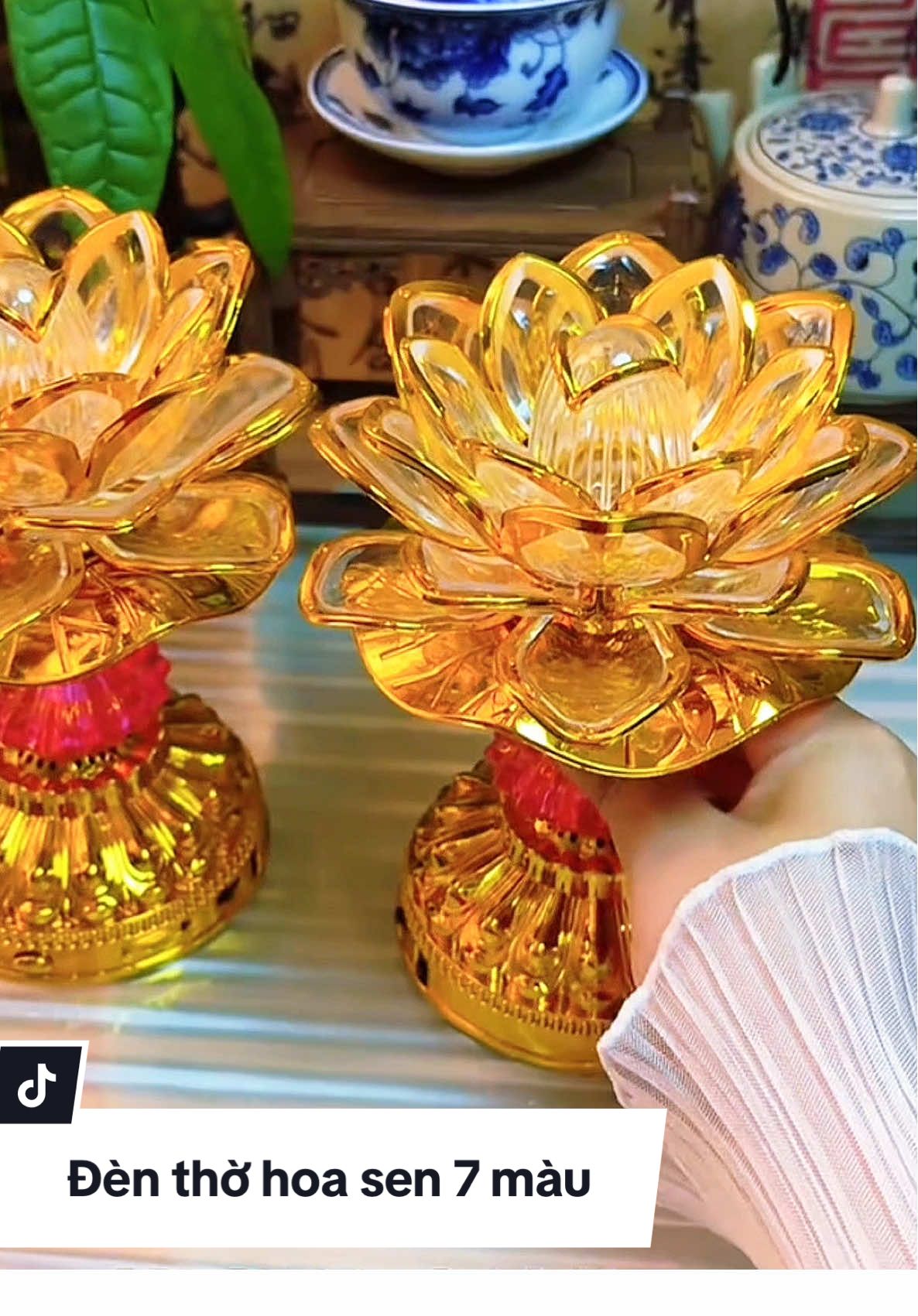 Đèn thờ hoa sen 7 màu thắp sáng và sưởi ấm cho bàn thờ gia tiên, bàn thờ ông địa #denthohoasenled #trangtribantho #banthogiatien #banthothantai #banthodep  @Hìn Hóng Hớt  @Hìn Hóng Hớt  @Hìn Hóng Hớt 