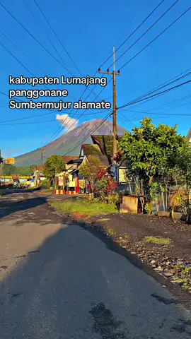 Lumajang-Candipuro-Sumbermujur-Wonorenggo🤭😇