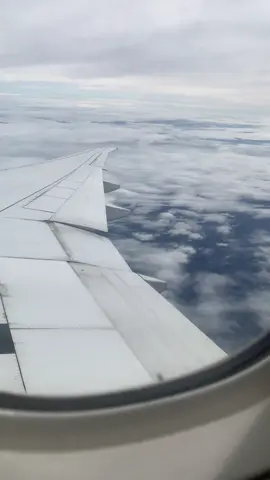 Chuyến bay 22/10  các bạn có ổn không 😢#dailoan#taiwan 