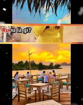 Rượu là gì rượu như thang thuốc quý rượu xua đẩy bao suy tư thần trí... #nhactamtrang #sad #nhachaymoingay #nhaclyrics #suhuongtiktok 