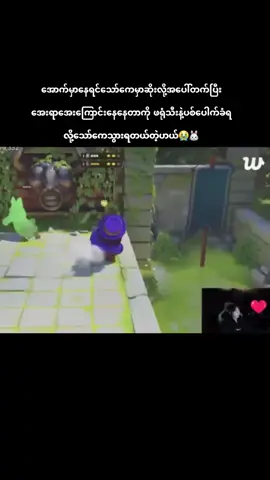 ကိုကိုရေ့အူတက်နေပြီလို့😆🐰#jungkook #jeonjungkook #bts #army #bithit_bts_official 