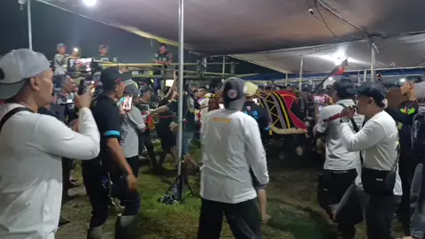 resmi sapu jagat pecah rekor nasional kontes sapi appsi dengan bobot 1408 kg #appsi #kontessapiappsi 