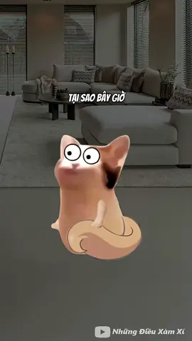 Tại sao bây giờ con trai không muốn yêu đương#cheems 