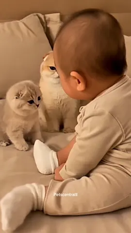 🐾 Two little angels playing while mama watches over them 👶🐱😇#baby #cute #funny #fyp 