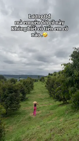 😜👩‍🌾🌴🌳#cogaitaplamnong #49lamdong #nongdan #saurieng #cafe 