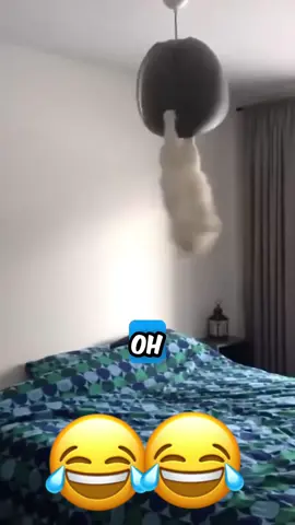 Phillies lands All-star closer to Jhoan Duran before the MLB trade deadline 0° 👀🔥 #JhoanDuran #MLBTradeDeadline #Phillies #BaseballUpdates #SportsNews