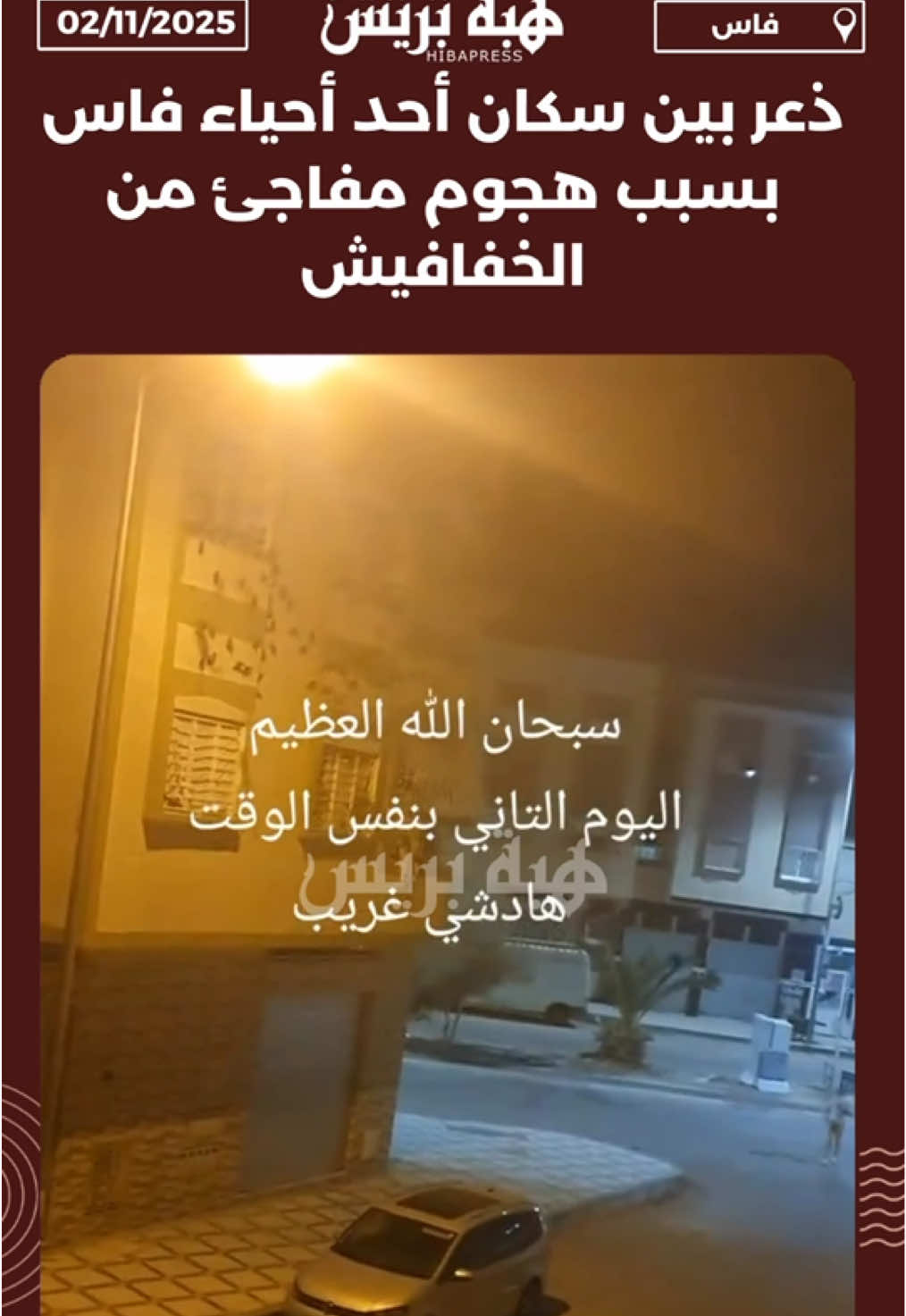 ذعر بين سكان أحد أحياء فاس بسبب هجوم مفاجئ من الخفافيش