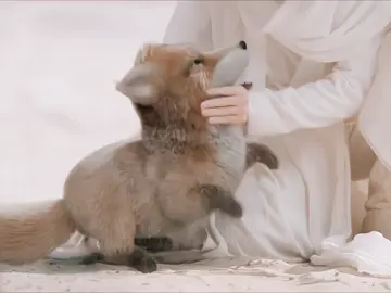 🐫 Miệng thì nói nhỏ nhẹ mà vỗ thk nhỏ bóp bóp hồi nào ko hay, cười chết vs anh Quý nhà e 😂 #天地剑心 #ThiênĐịaKiếmTâm #ThànhNghị #xuhuongtiktok 