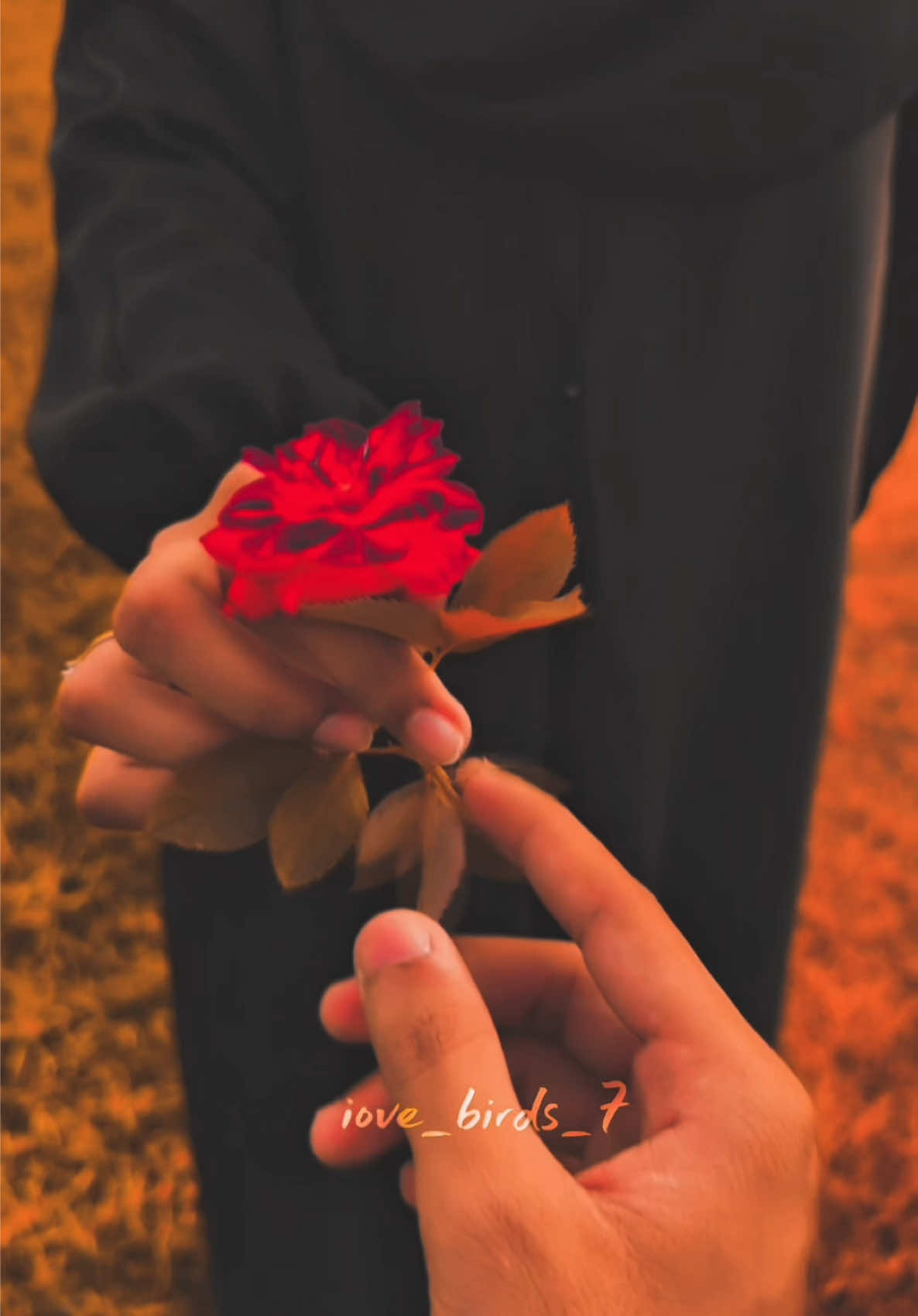 Tere Siva 🥺🫂#saymashallah❤️🧿 #birdie_couple_7 #unfrezzmyaccount #500k #trending @<★★س💜ف★★> 