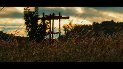 It makes this evening meaningful #capcut #chill #fypviralシ #sunset 