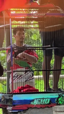 #CapCut #jehosf  #lombaburung  #cucakijoprestasi  #fyppppppppppppppppppppppp  #muraibatuindonesia  #fyppp  #soundviral  #cucakijobanyuwangi  #cenematic  #beritatiktok  #tranding 