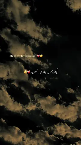 Me to my favrt person❤️‍🩹🥹🦋🌸 #1millionaudition#aestheticvideos#growaccount#poetryvideos#foryoupage 