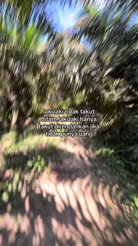 #petanisawit #petanimuda #kulisawit #storysawit #fyp 