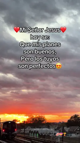 Gracias por tus planes perfectos que tienes para mi. #AgradecidaConDios #DiosEsBueno #LaVidaEsBuena #ConfiaEnDios #tiktok2025🙏💝💪🥇🏆 