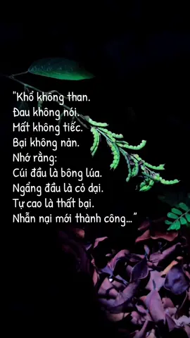 #songtichcuc #songvuimoingay #cuocsong #tamtrang 