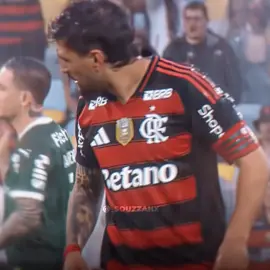 Final libertadores 2025💀#flamengo #palmeiras #libertadores #edit #flypシ 