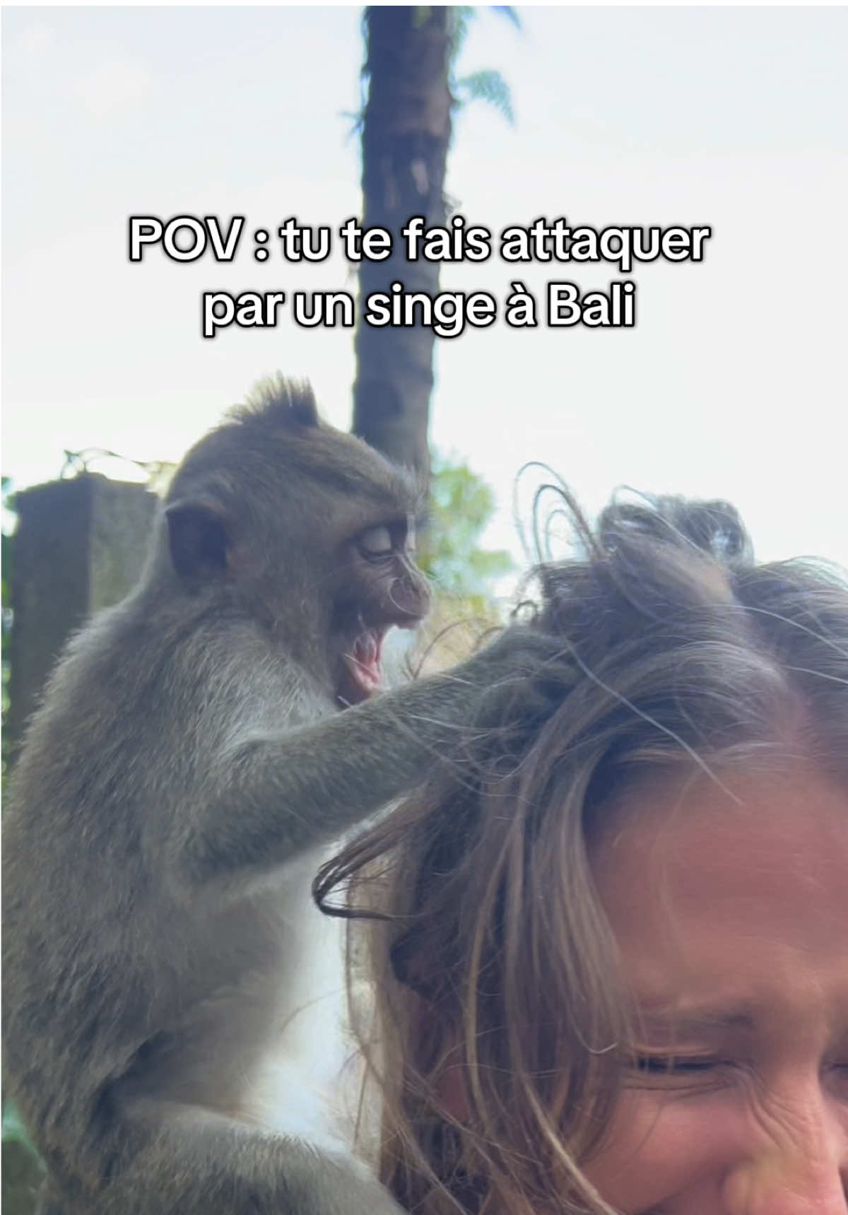 Au top Ubud 🤓 #monkeyattack #monkey #bali #attack #morsure 