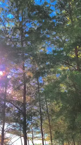 #pantai#4u #pantaitiku 