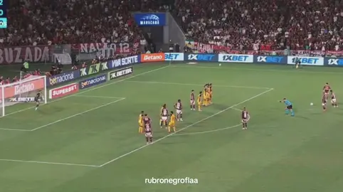 GOLAÇOOOO DO ARRASCA flamengo x sport  #flamengo #arrascaeta #goldefalta #flaxsport 