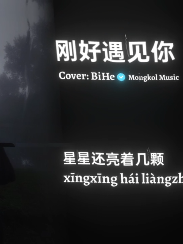 刚好遇见你 🥺🤍 #刚好遇见你 #🎧 #som🤍mnak_muy_mk🥺🙏💗 #mongkol_music🎧🎶 #fypシ゚viral 