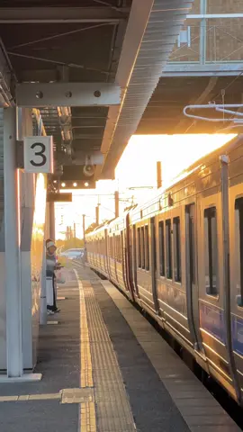 sinar mentari ini terlalu silau bagaikan pesona Jepang #japan #japanvibes #sunset #wecantbefriends 