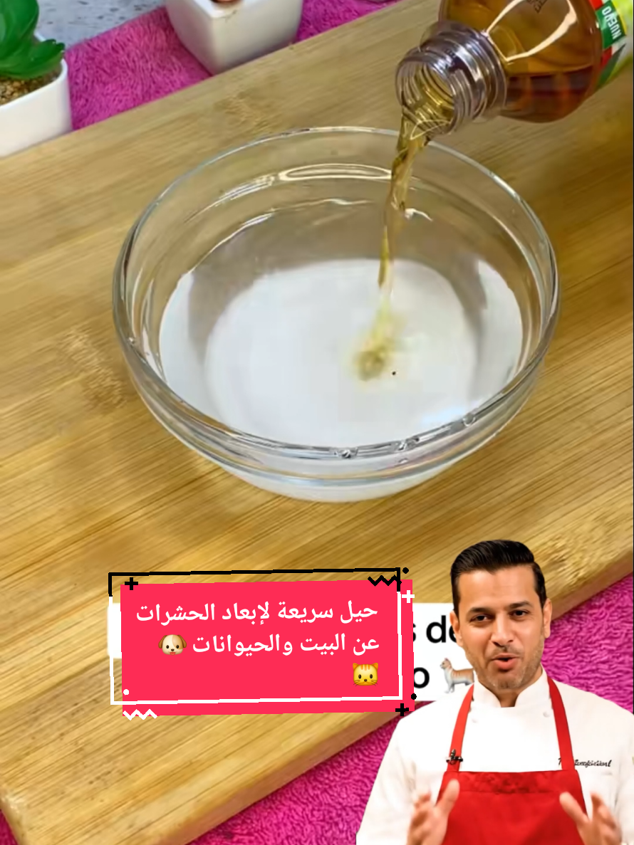 اجعل بيتك وحيواناتك خالية من الحشرات الآن! 🌿 #التخلص_من_الحشرات #براغيث_الحيوانات #نصائح_منزلية #صحة_الحيوانات #بيئة_نظيفة 