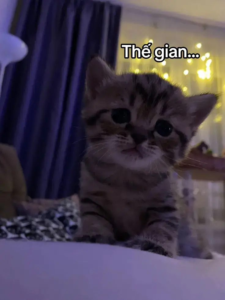 hẹ hẹ #fup #xuhuong #memes #foryou #tinhyeu #viral #xh #vantai #fyp 