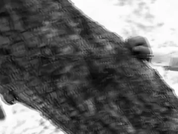 عليا تروقي لو كان يادنيا /؛ #صابر_الجميعي #اغاني_عراقيه #اكسبلورexplore 