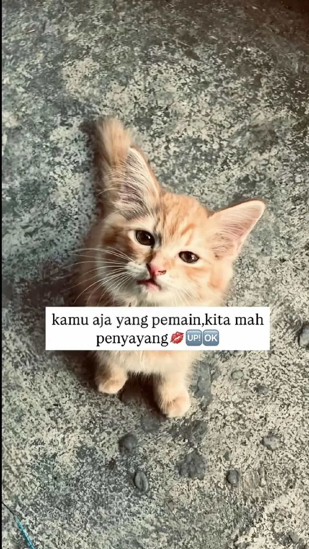 #fyp #4u #xyzbca #maumau 