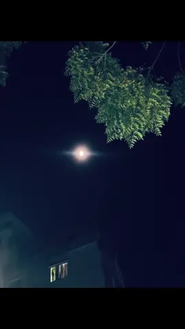 তোমারে ঠিক ততটা ভালোবাসি যতটা ভালোবাসলে তোমারে এক নজর দেখার লাইগা বুকের ভিতর দুরভিক্ষ লাইগা যায়  😊💔 . . #caption #Bg 