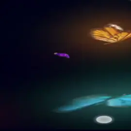 #သတိလာပေးတာ#fypシ゚viral #fyp #viewsproblem😭 #@TikTok #viewတက်စမ်းကွာ👊 