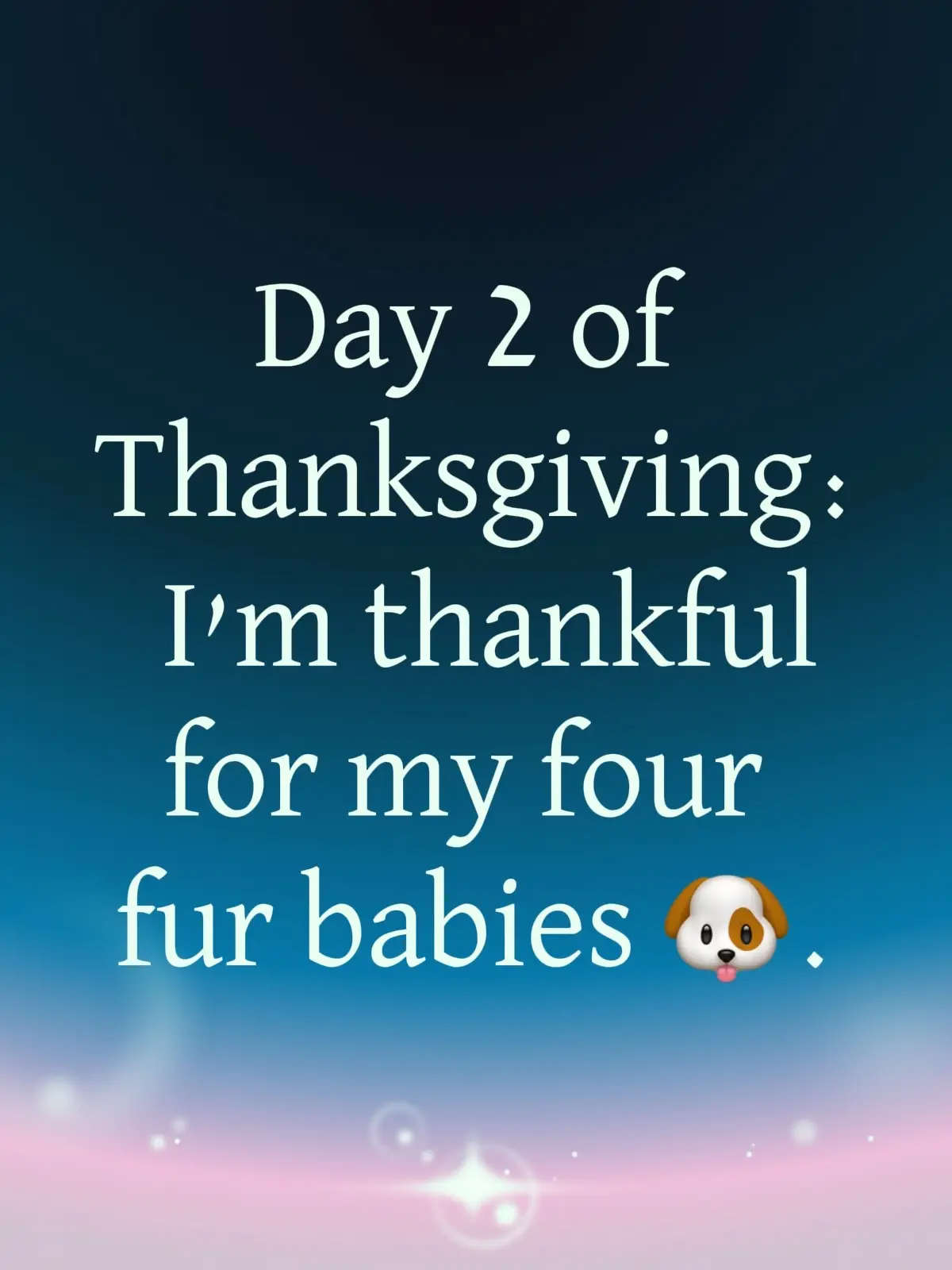 #Thanksgiving #Thankful #Blessed #DogsOfTikTok #Dogs