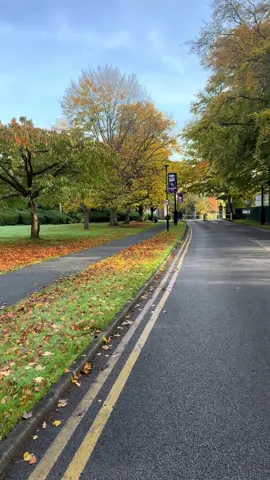 وين عايش بلكت نطلع جيران #بريطانيا🇬🇧 #المانيا🇩🇪من #لايك_متابعه_اكسبلور 