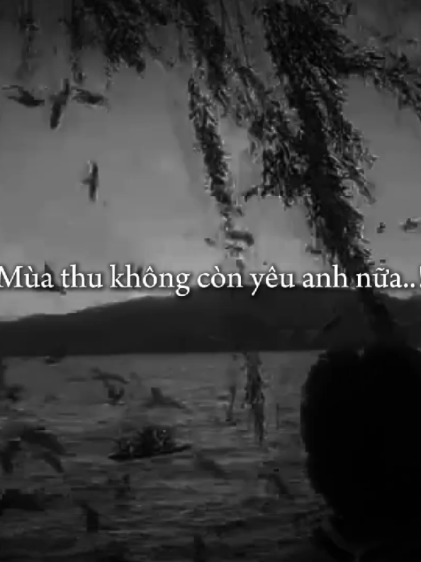 mùa thu không còn yêu anh nữa...#nhacsuy #hay #xuhuong #chill #tamtrang 