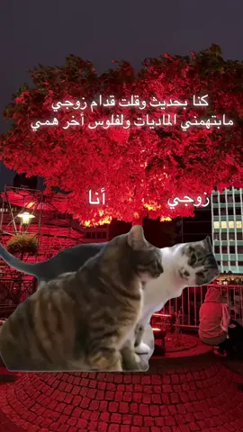 #CapCut #fyp #مالي_خلق_احط_هاشتاقات #capcut_edit #الشعب_الصيني_ماله_حل😂😂 