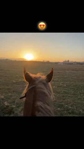 #elbruso #fyp #rek #закат 