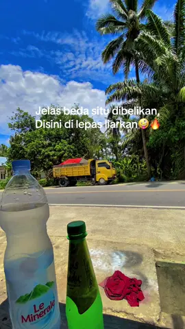 Minum Ki yang dingin🤣#fyppppppppppppppppppppppp #fypsound #anjay #planetlutim #sopirtruck 