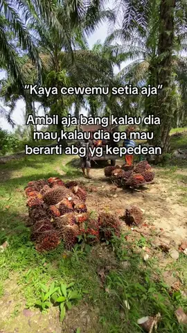 🥵🥵🤙#fyppppppppppppppppppppppp #bosssmudaaaa #tokeesawit #tokemudaaaaa 