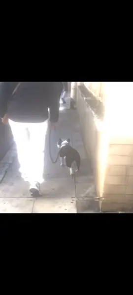 ||Edut do neymar ai rpzd.....#neymar  #viral #fyp 