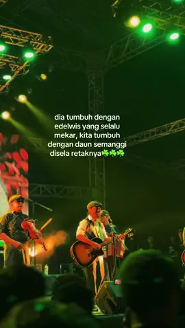 DENTINGKAN 🍻 @The Cloves and The Tobacco #theclovesandthetobbaco #fanatik13 #theclovesandthetobbaco🍀 