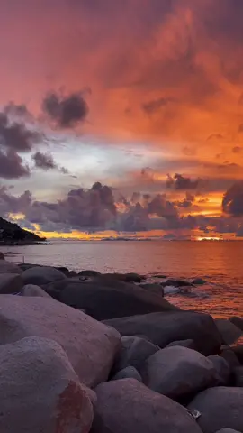 Hoàng Hôn 🎥#trending #tiktok #honson #linhchupanhhonson 