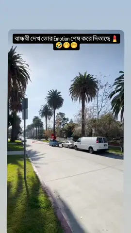 mention your bandobi 🤣#single #bangladesh🇧🇩 