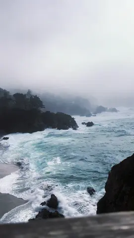 #nature #fyp #pointlobos #Hiking #ocean 