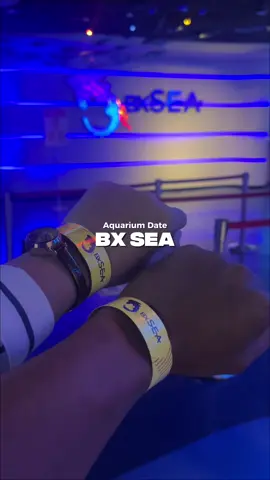 Aquarium date sama orang tersayang di BX Sea Bintaro Tangerang Selatan #bxseabintaro #aquariumraksasa #healing #liburankeluarga #wisatakeluarga 
