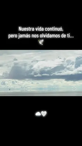 El amor es eterno, incluso cuando hay distancia entre el cielo y la tierra.. 🤍  #paratiiiiiiiiiiiiiiiiiiiiiiiiiiiiiii #masalladelsol 