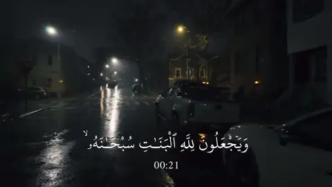 النحل - #عبدالرحمن_مسعد 